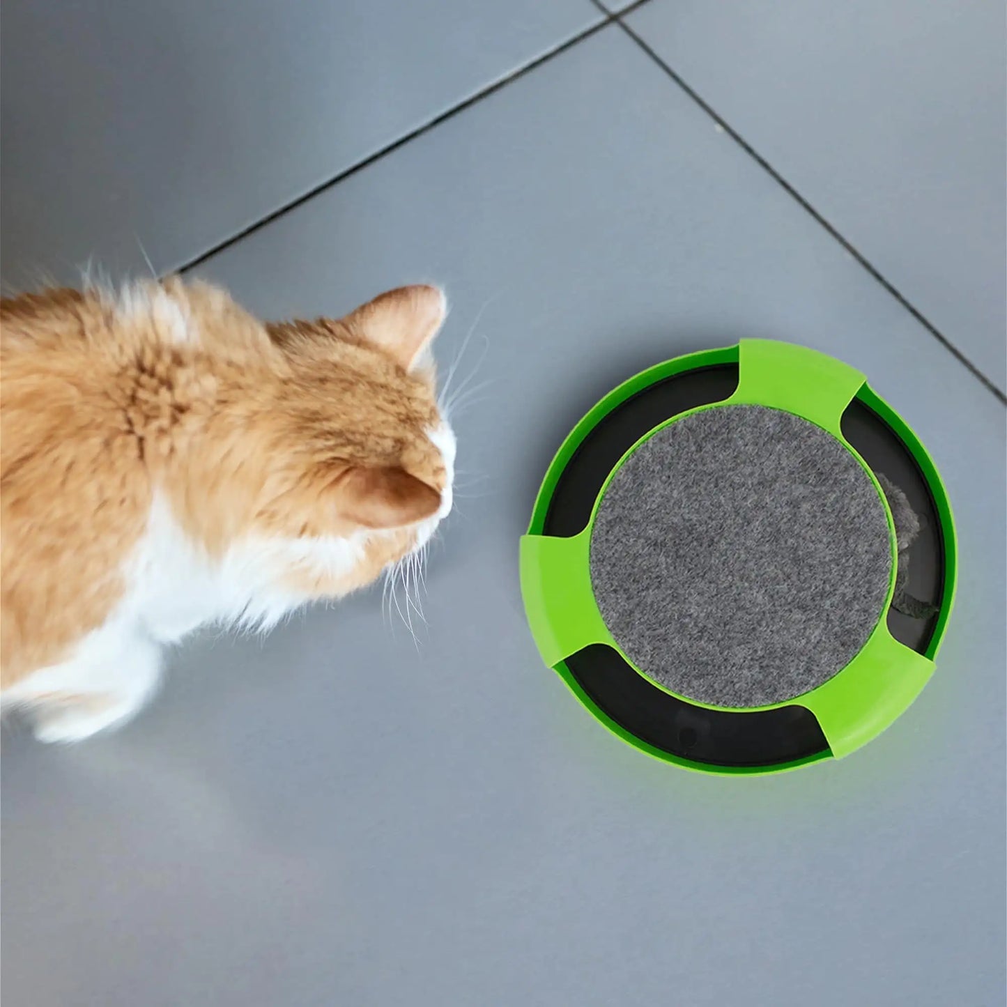 Gioco interattivo per gatti