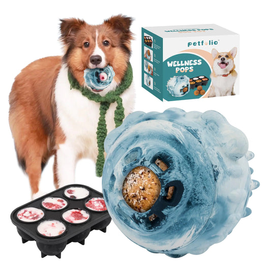 Giocattoli interattivi per cani