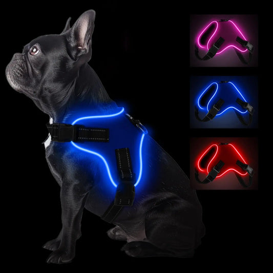 Pettorina per cani LED