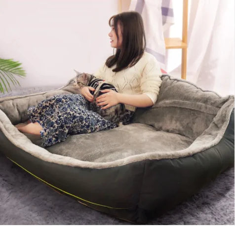 Sofa per cani