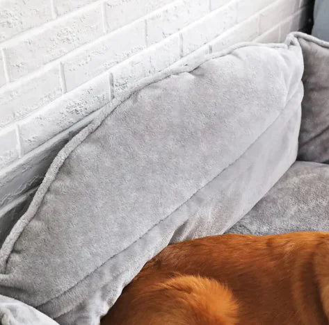 Sofa per cani