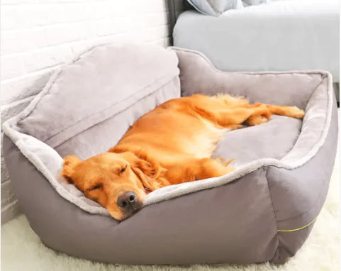 Sofa per cani