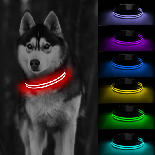 Collare LED per cani