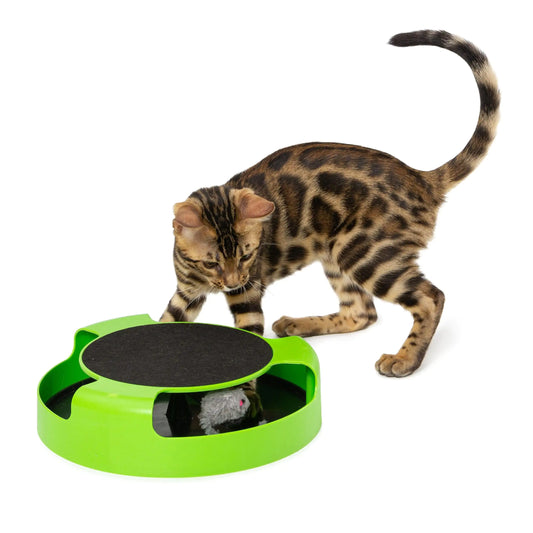 Gioco interattivo per gatti