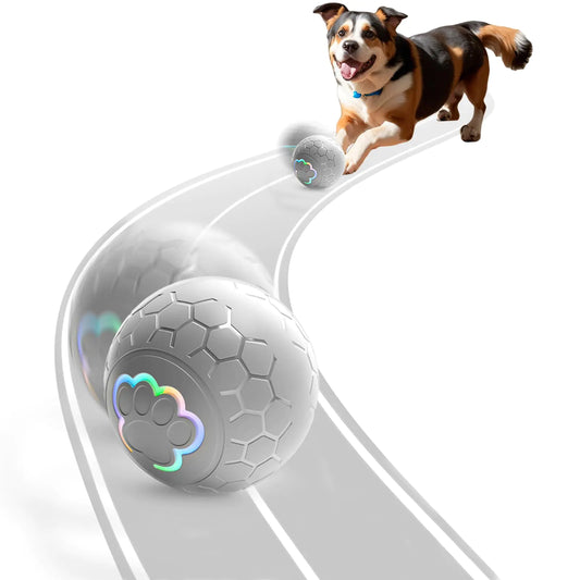 Palla interattiva per cani