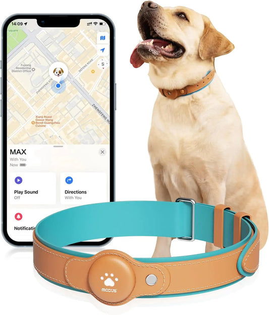 Localizzatore GPS per cani